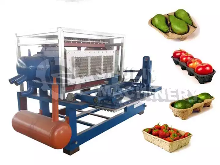 Máquina para fabricar bandejas de frutas de manzana