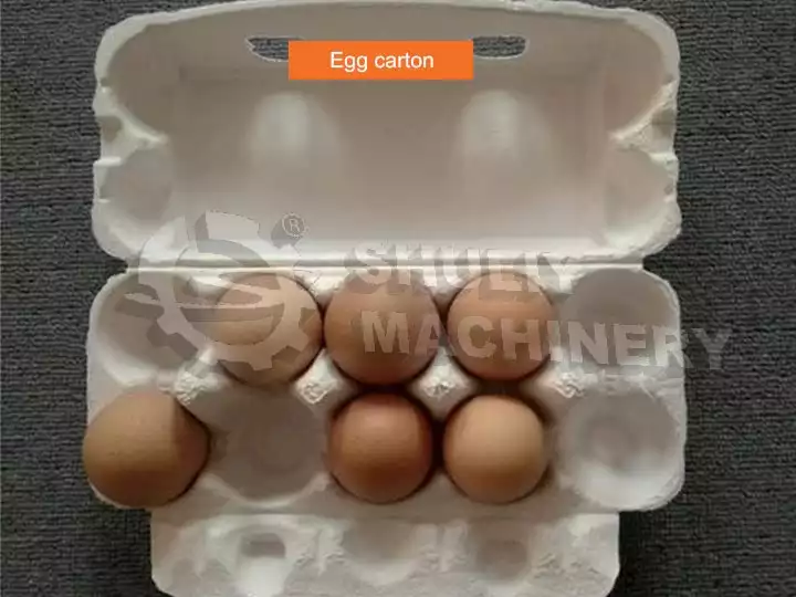 Carton de huevos