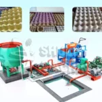 Línea de producción de bandejas de huevos-máquina de bandejas de huevos
