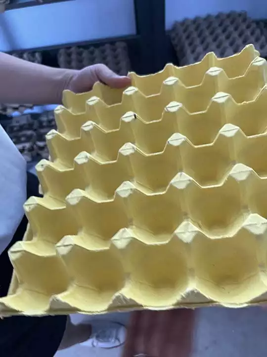 Egg Tray Production Line | Egg Tray Machine 10 Egg-trays