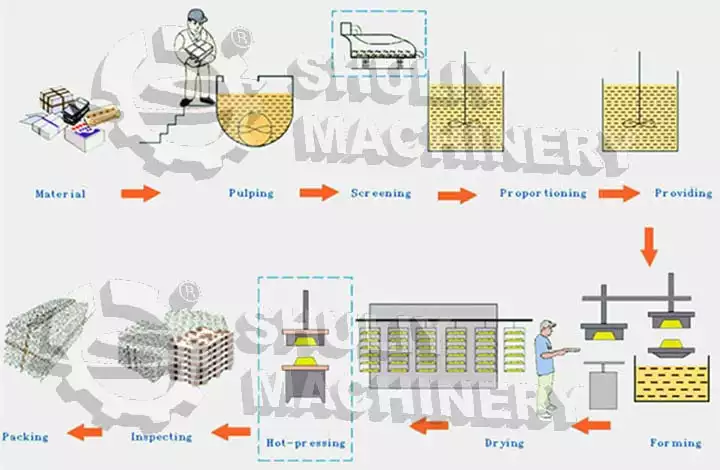 Organigramme de la ligne de production de plateaux à œufs