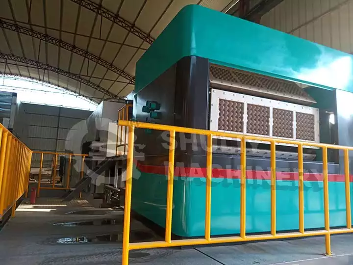 Apple Tray Making Machine 5 Fruit tray machine for sale