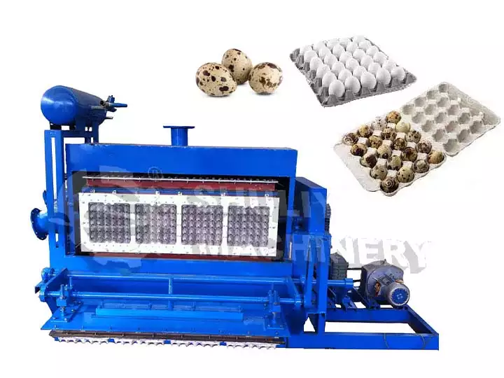 Quail egg tray making machine