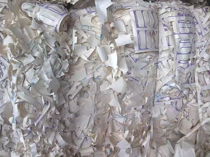The Future Prospects For The Egg Tray Manufacturing Industry 3 Waste-materials