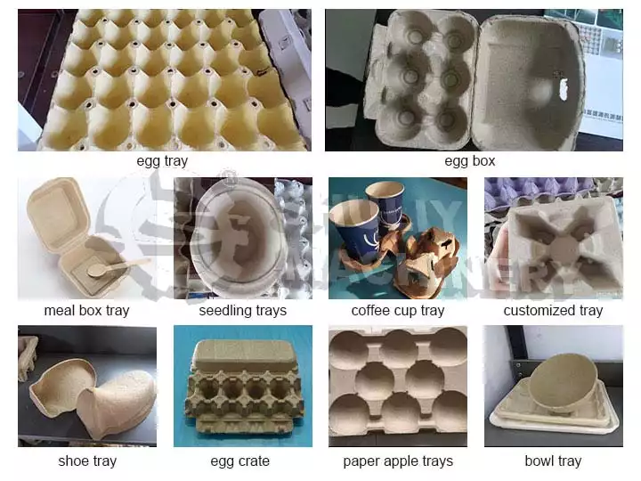 What Kind Of Paper Trays Can Be Produced? - Shuliy Paper Tray Machine 1 Paper-trays