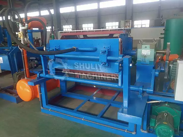 Egg tray machine for sale in south africa
