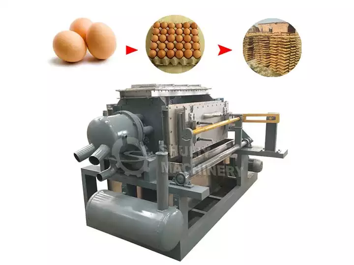 La perspectiva del fabricante de bandejas para huevos en la industria avícola y del huevo 1 fabricante de bandejas de huevos