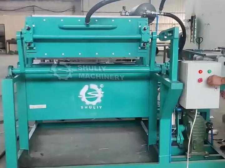 Small egg tray making machine helps start-up business
