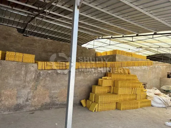 Sudan Clients Visited Our Egg Tray Machine Factory 1 Mass production of egg trays