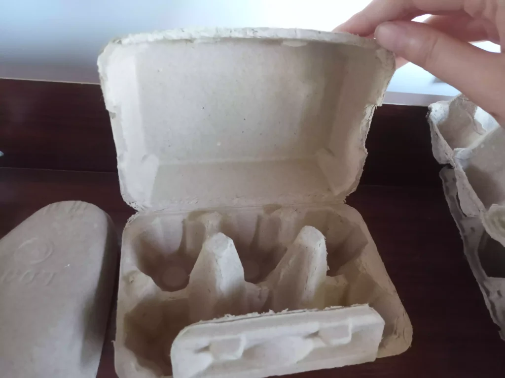 Customer Visit: Kuwait Comes To Visit Egg Carton Maker Factory 4 Egg carton