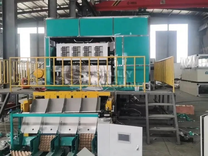 Machine de fabrication de caisses à œufs Shuliy à vendre : excellente solution pour les éleveurs de poulets 2 Machine de fabrication de cartons à œufs avec collecte