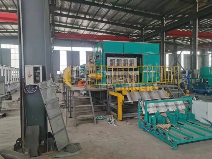 1000-8000Pcs/H Egg Tray Making Machine 8 Paper tray molding machine with collection