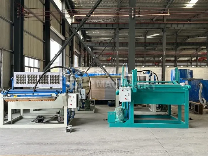 1500-2000Pcs/H Egg Tray Molding Machine 2 Quality egg tray machine