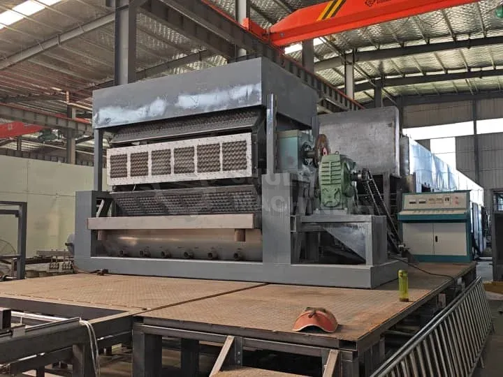 What'S The Fully Automatic Egg Tray Machine Price? 2 Fully automatic egg tray machine with metal dryer