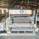 machine de fabrication de plateaux à œufs nouvellement fabriquée