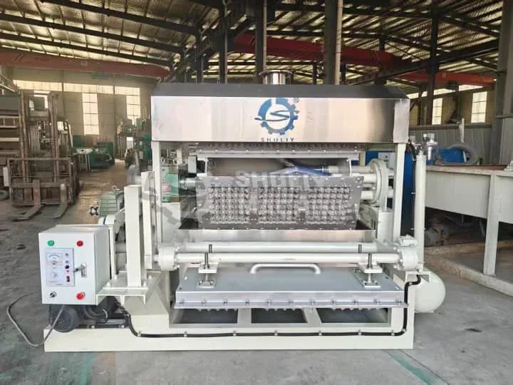 machine de fabrication de plateaux à œufs nouvellement fabriquée