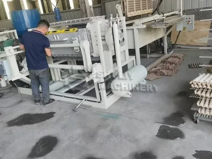 Paper tray manufacturing machine in the factory