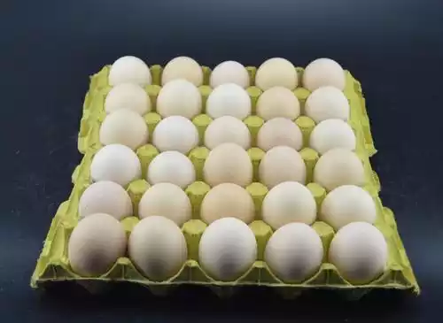 30 eggs packaging per tray