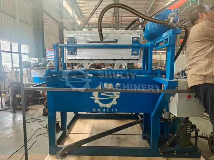 Export 1000Pcs/H Egg Tray Machine To Ghana 5 Egg tray maker packaging