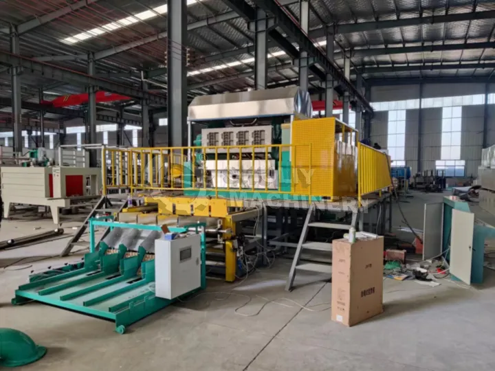 Coste de la máquina de fabricación de bandejas para huevos