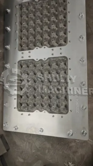 Vibao vya mold ya tray ya mayai kwa ukaguzi