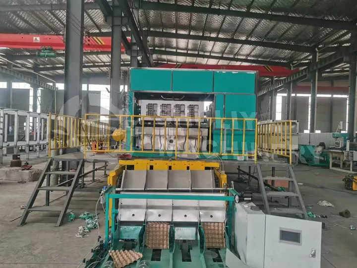Egg carton machine price in africa