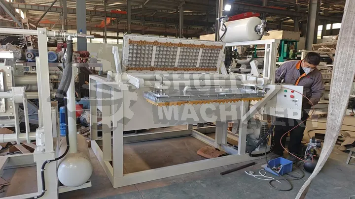 Small egg tray making machine from shuliy