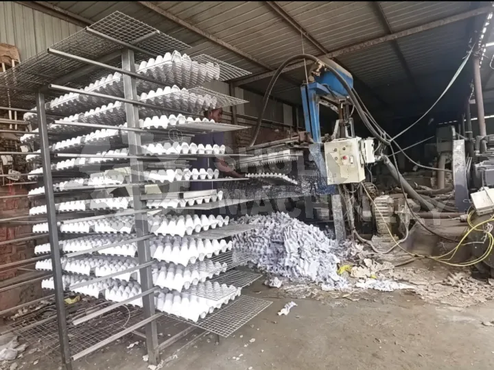 Egg tray making machine at customer site