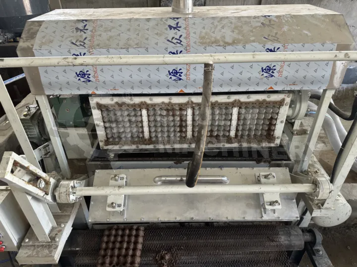 Sl-4*4 Rotary Egg Tray Machine + Brick Kiln Dryer Installation In Tanzania 5 Egg tray mold