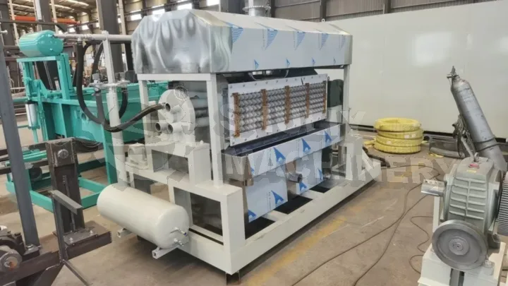 Egg tray paper pulp molding machine for sale