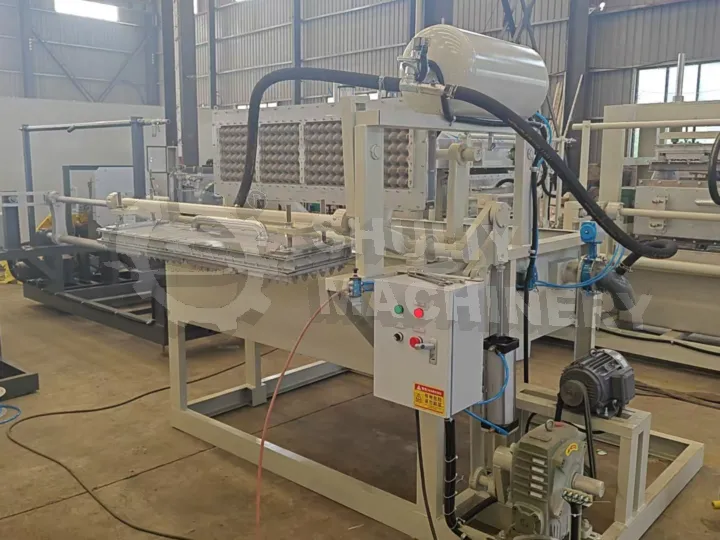 How to choose egg tray machine