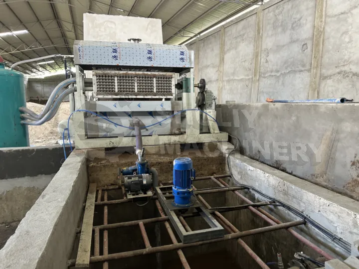 SL-4*4 Rotary Egg Tray Machine + Brick Kiln Dryer Installation in Tanzania