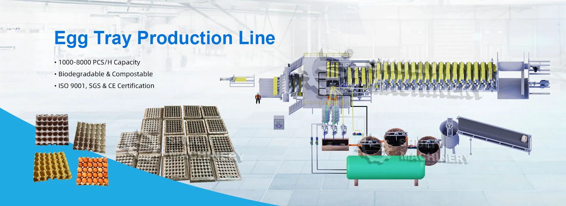 1000-8000 pcs per hour egg tray production line