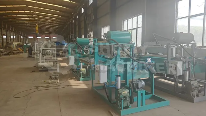 How To Start An Egg Tray Business? 2 Egg tray egg carton machine plant