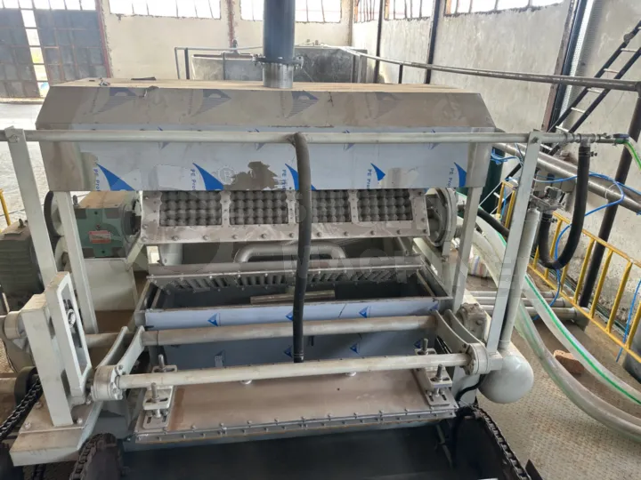 Uganda 4×4 Egg Tray Machine With Metal Dryer: Full Site Installation 7 Rotary egg tray machine for paper tray