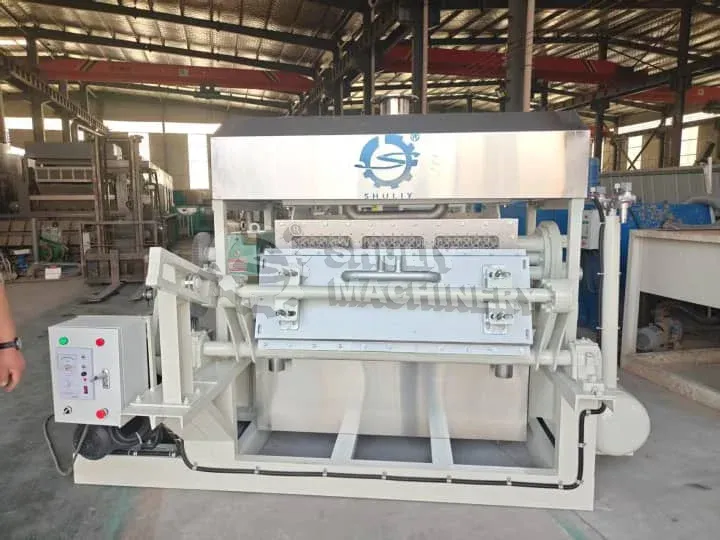 Paper egg tray forming machine maintenance