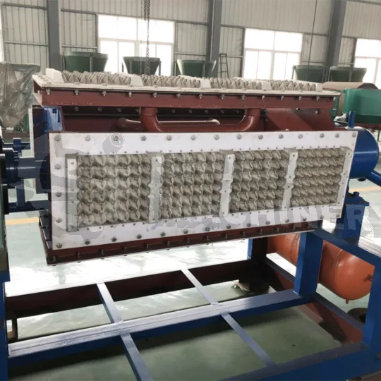 7 Common Egg Tray Machine Problems And Solutions 2 Normal egg tray mold with machine